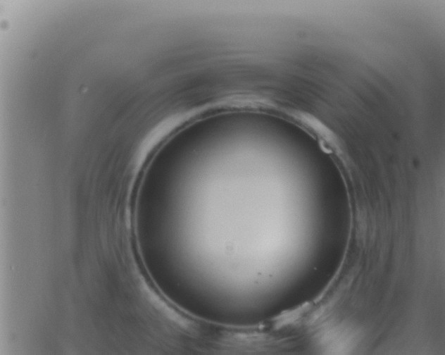 X0000062931335200601202017