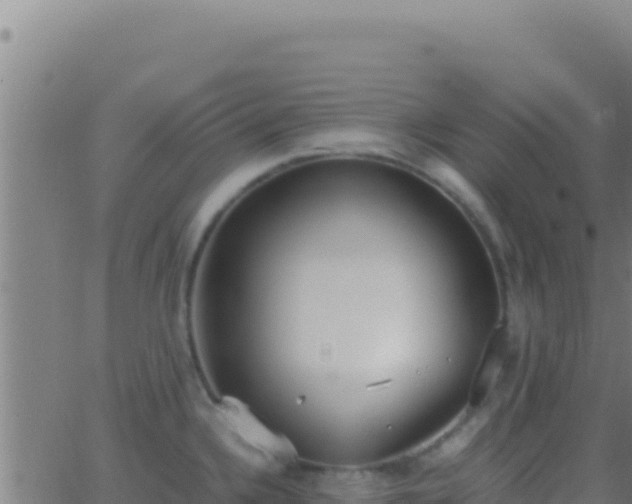 X0000062931336200601202017