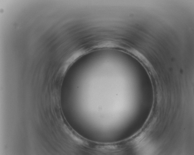 X0000062931337200601202017