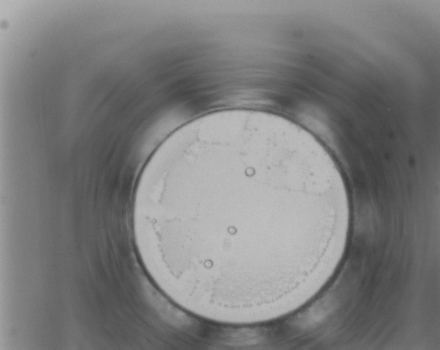 X0000062931338200601202017