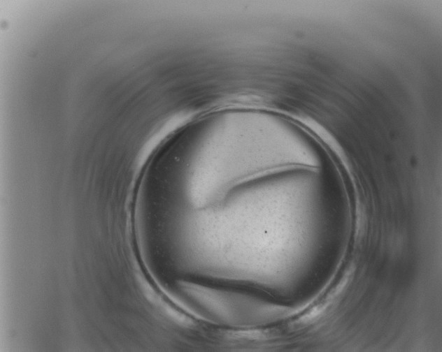 X0000062931341200601202017