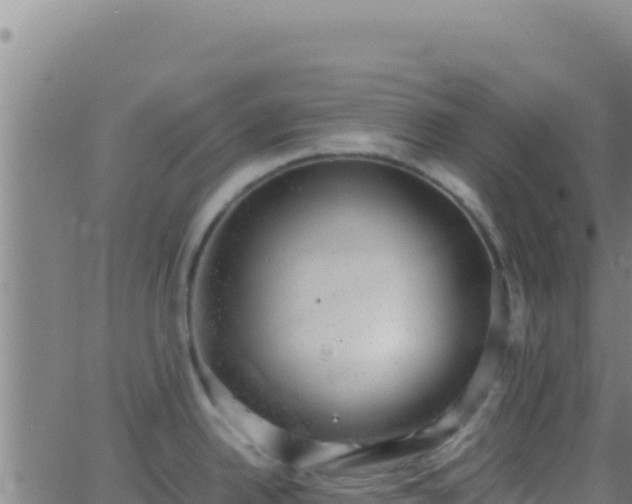 X0000062931342200601202017