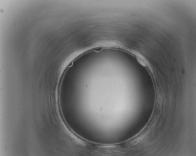 X0000062931343200601202017