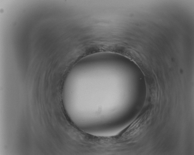 X0000062931345200601202016