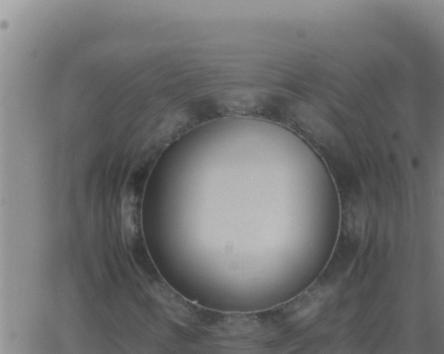 X0000062931346200601202016