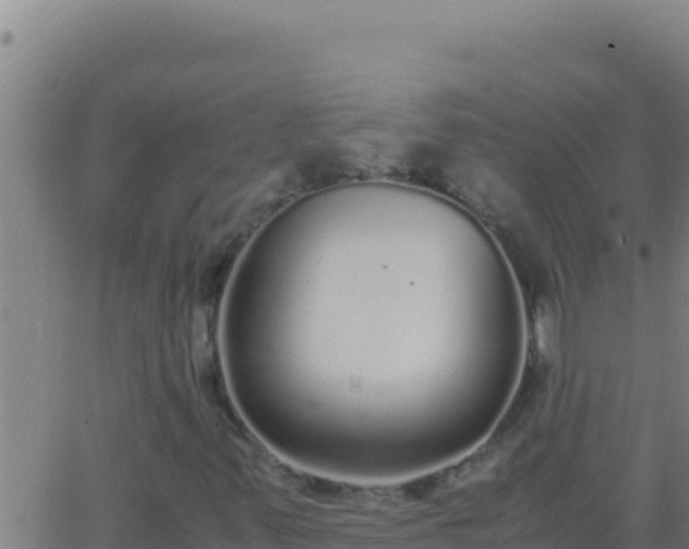 X0000062931347200601202016