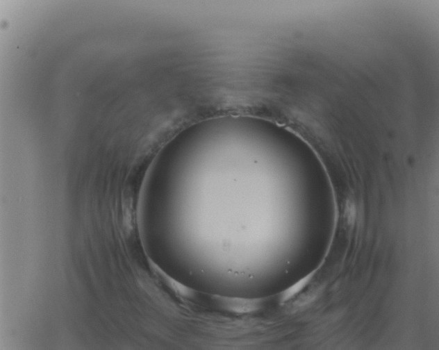 X0000062931348200601202016