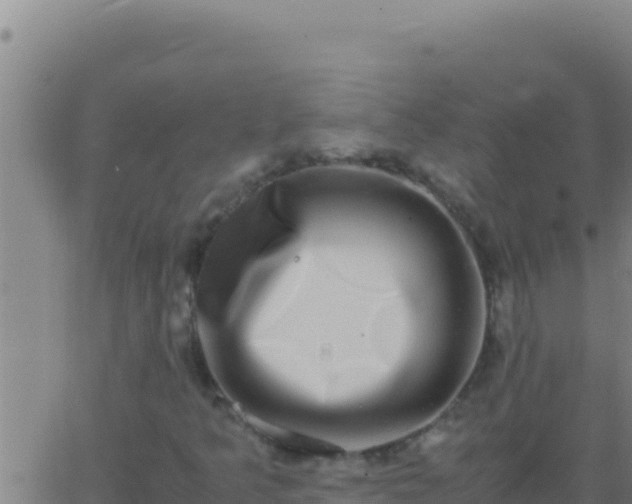 X0000062931349200601202016