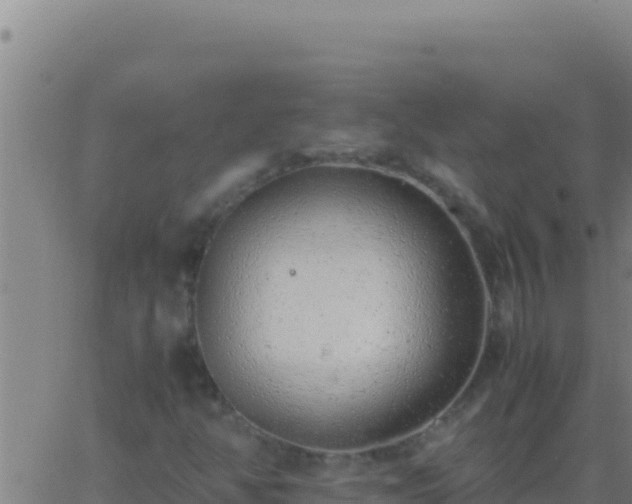 X0000062931350200601202016