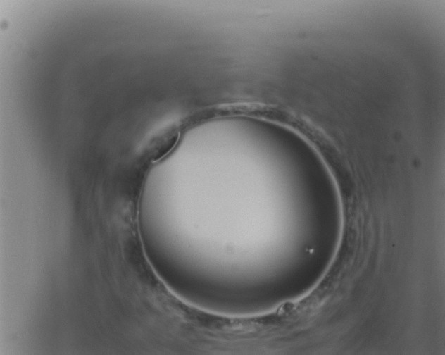 X0000062931351200601202016