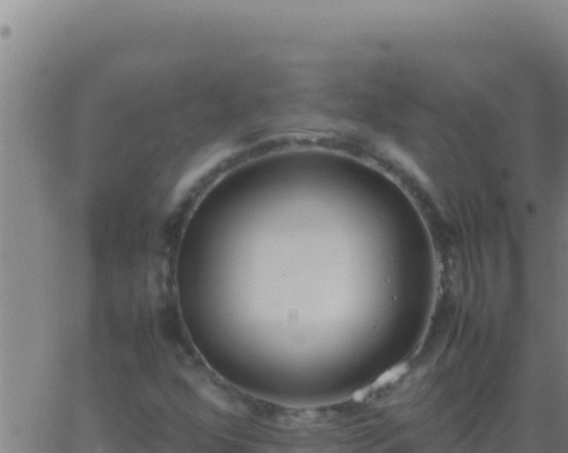 X0000062931352200601202016