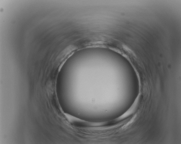 X0000062931353200601202016