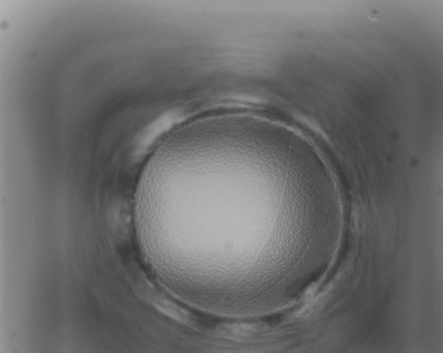 X0000062931355200601202016