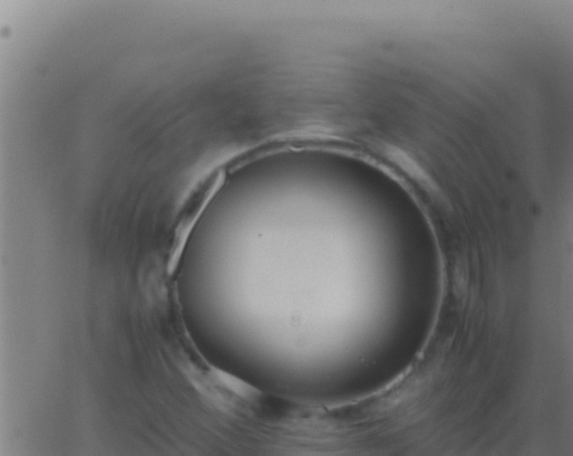 X0000062931356200601202016