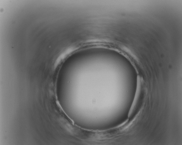 X0000062931357200601202016