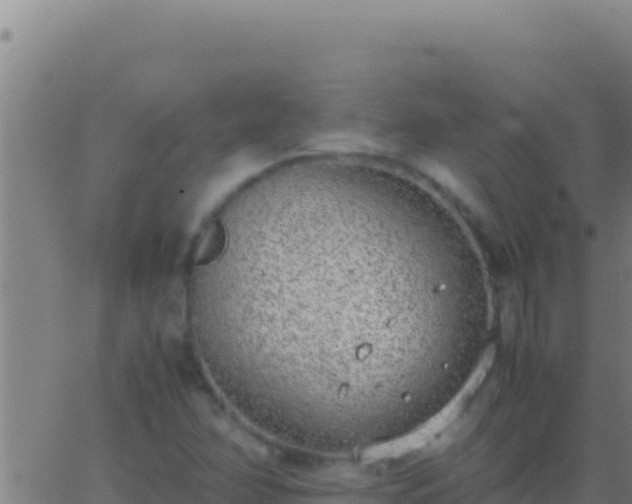 X0000062931358200601202016