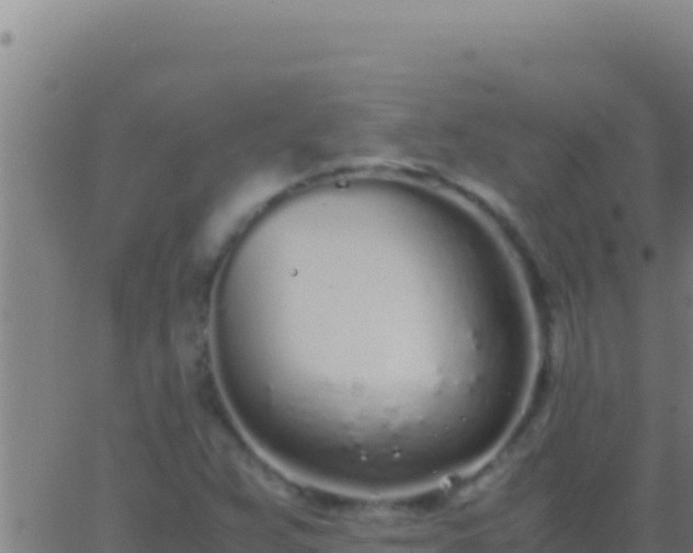 X0000062931359200601202016