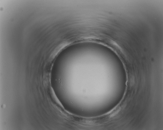 X0000062931361200601202016