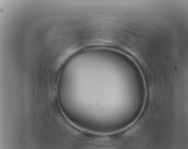 X0000062931363200601202016