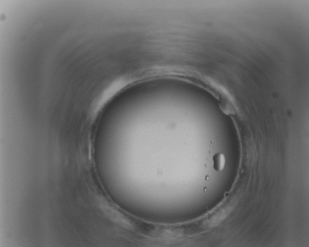 X0000062931365200601202016