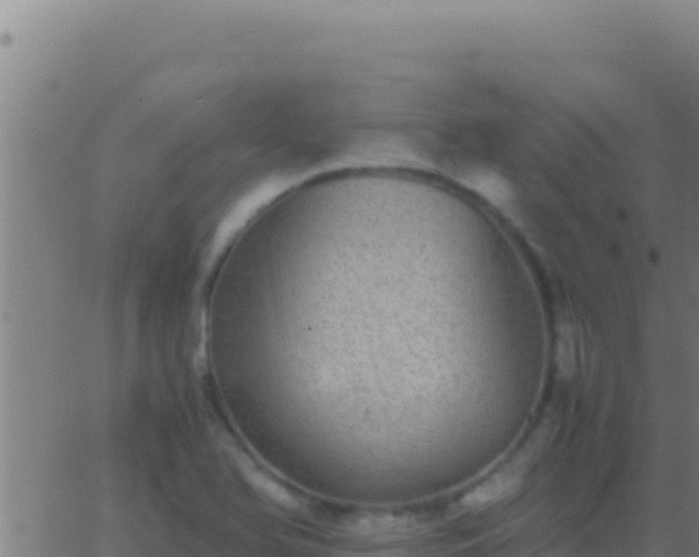 X0000062931366200601202016