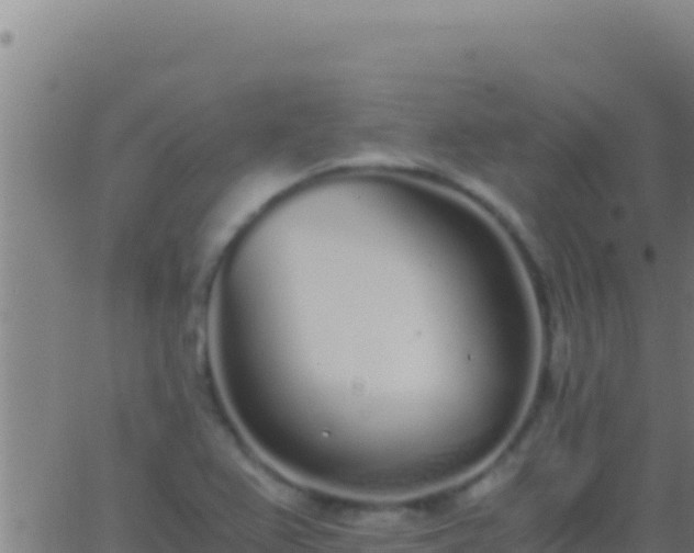 X0000062931367200601202016