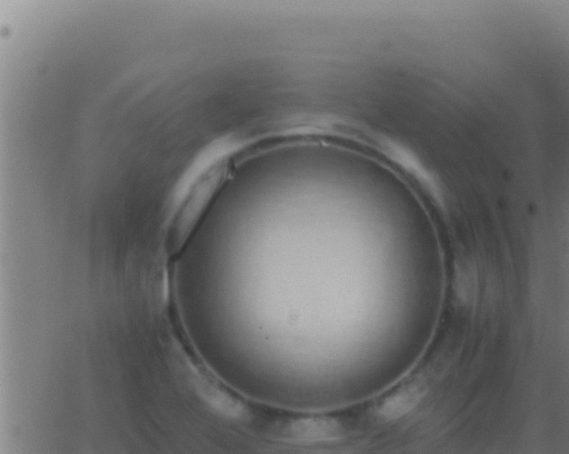 X0000062931368200601202016