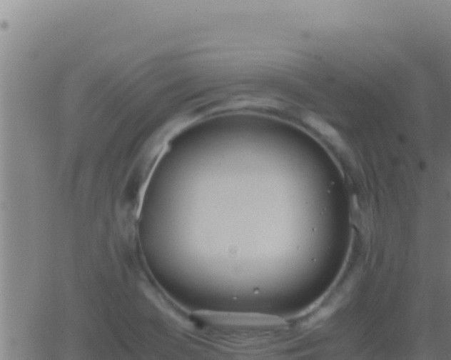 X0000062931369200601202016