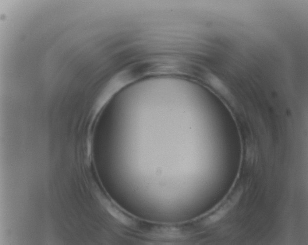 X0000062931370200601202016