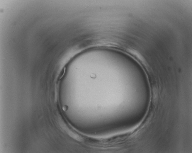 X0000062931371200601202016