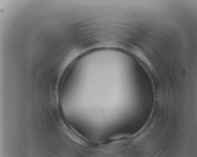 X0000062931372200601202016