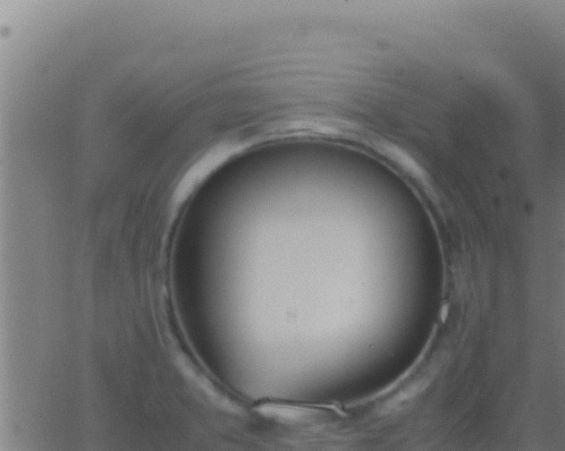 X0000062931373200601202016