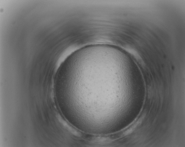 X0000062931374200601202016