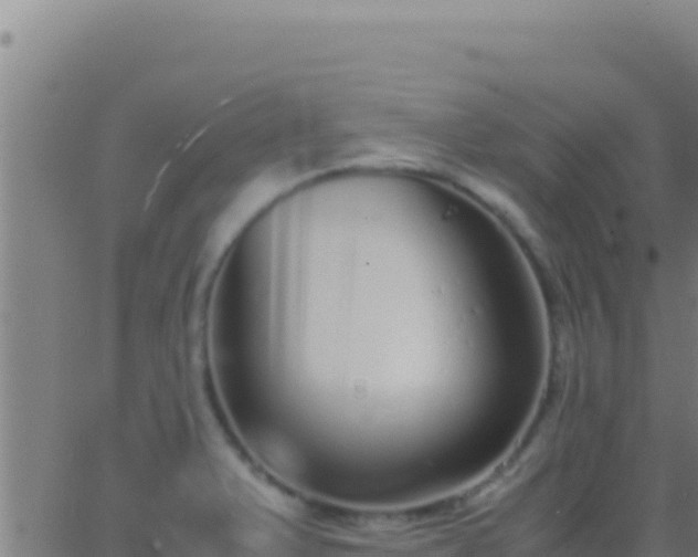 X0000062931375200601202016