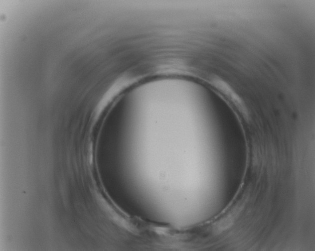 X0000062931376200601202016