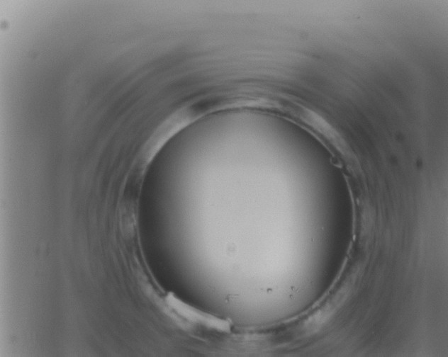 X0000062931377200601202016