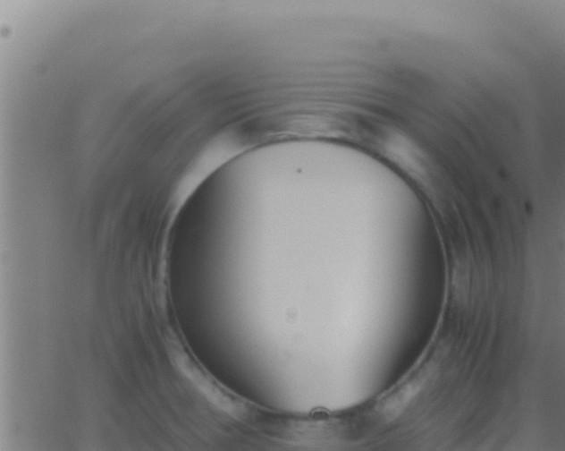 X0000062931378200601202016