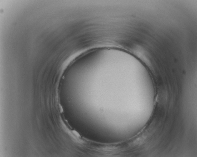 X0000062931380200601202016