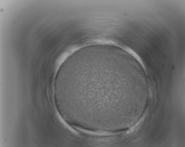 X0000062931381200601202016