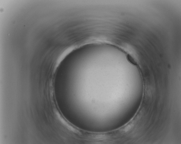 X0000062931382200601202016