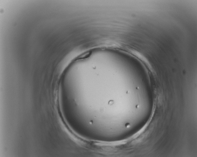 X0000062931383200601202016