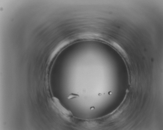 X0000062931384200601202016