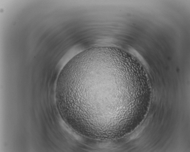 X0000062931386200601202016