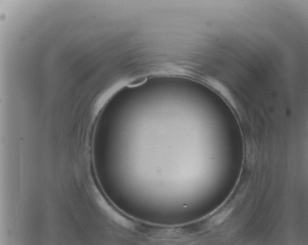 X0000062931387200601202016