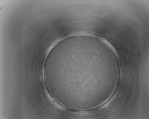 X0000062931388200601202016