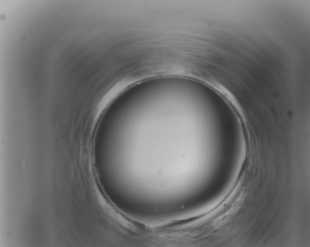 X0000062931389200601202016