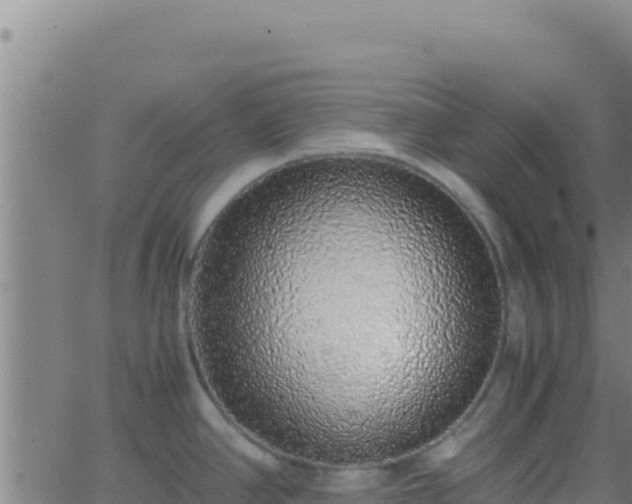 X0000062931390200601202016