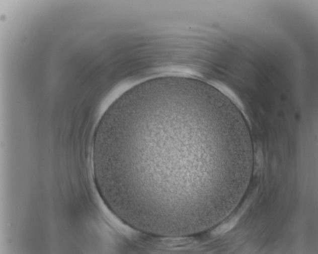 X0000062931391200601202016