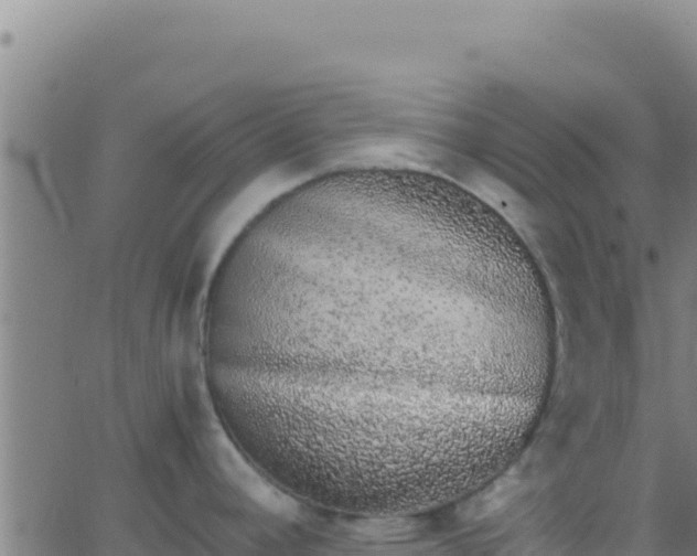 X0000062931392200601202016