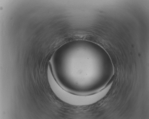 X0000062931394200601202015